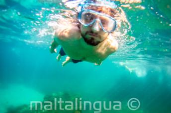 Manat snorkellet