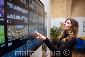 Ustitlaš ja fágalaš oahpaheaddjit